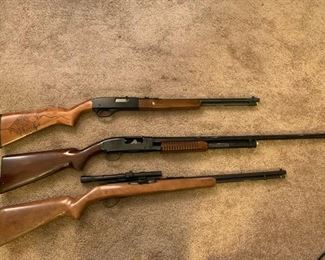Winchester 22, Winchester 12, Springfield 