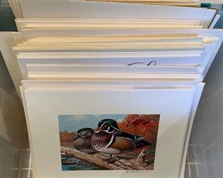 Larry Hayden Signed Print. There is a large quantity of Hayden Signed Prints. 