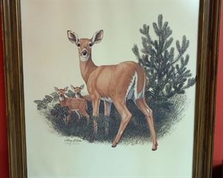 #159	Harry E Antis  print of whitetail deer/fawns  signed 	 $75.00 
