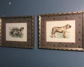 I only have eyes for dogs