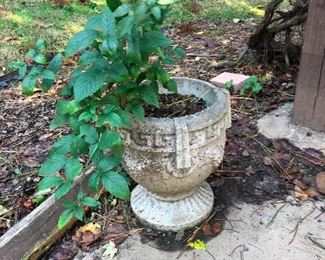 cauldron with eye of newt and fragrant sprigs of tarragon