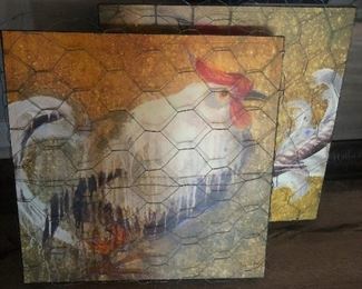 very large chickens in very small coops