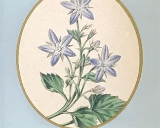 Hand Painted Floral Miniature Artwork