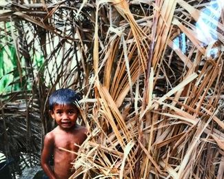 Professional Digital Canvas Photograph