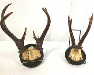 Lot 2 Plaque Mounted Antlers