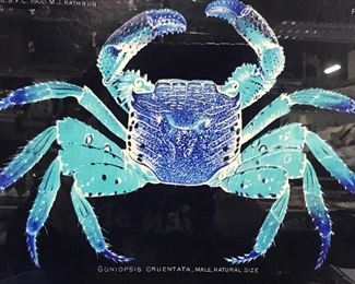 Blue Crab Lithograph Artwork