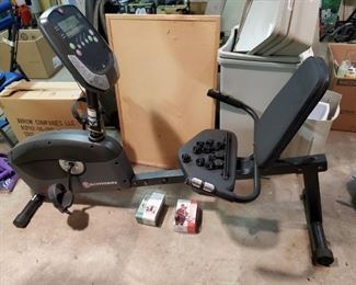 SCHWINN a20 Exercise Bike