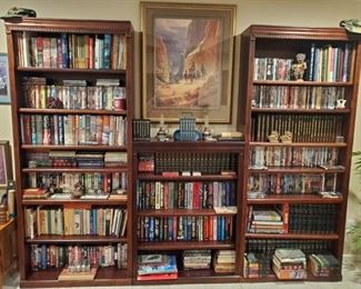 Bookcases full of DVD's, BOOKS, VHS...G. HARVEY PRINT