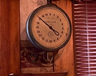 Hanging Scale.