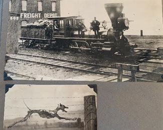 1871 Rail Road Photograph. Bottom photo is quite possibly a Tasmanian Tiger. Part of a scrapbook.
