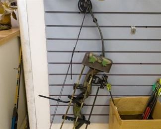 Compound Bow