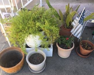 Plants, pots and yard art.