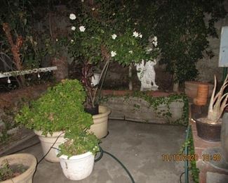 more .. have a few statues