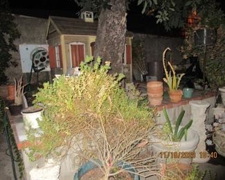 more plants and a sneak peak of the play house..