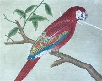 Signed Chinese Watercolor Painting, Parrot Artwork