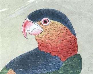 Signed Chinese Watercolor Painting Parrot Artwork