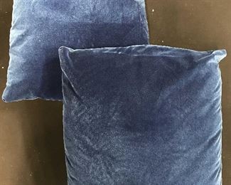 Pair Blue Throw Pillows