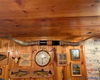 6 1/2' Texas Longhorn Mounted Horns