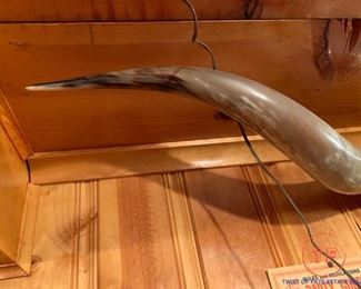 6 1/2' Texas Longhorn Mounted Horns