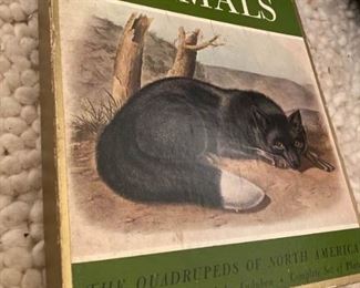 033Audubons Animals Box Set