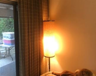 Floor to Ceiling Lamp