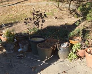 Pots and Plants abound in this yard