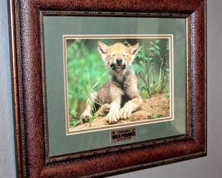 Framed Double Matted "In Celebration of Wild Penance" By Sandi Ault 18.5" x 16"