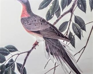 (2) Vintage Framed Fine Artworks, Signed John A Ruthven and No.7 in Series by Arthur Singer