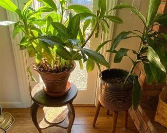 $34.00 Plants and stands