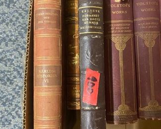 Tolstoi works