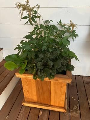 wood planter