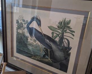 Audubon plate