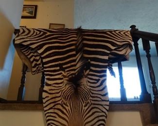 Zebra skin