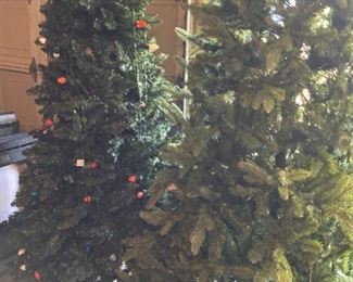 Two Christmas trees