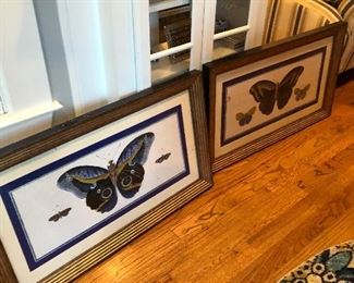 butterfly prints