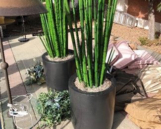 Pair of modern plants