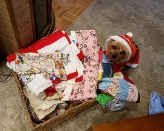 PEAK A BOO! I'm NOT FOR SALE!!