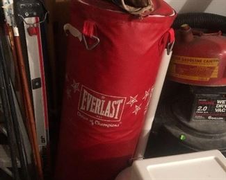 Everlast Punching Bag