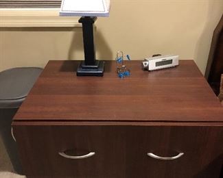 2 DRAWER FILE CABINET, $100.