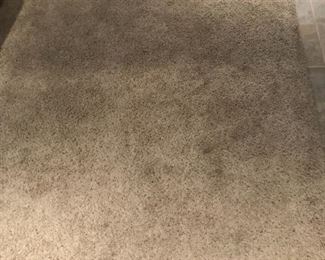 SHORT SHAG AREA RUG, $150.