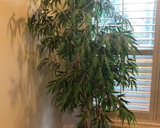 BAMBOO SILK TREE IN WOVEN STYLE POT, $75.