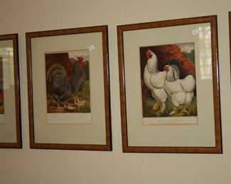antique Rooster Prints