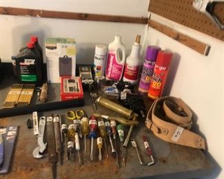 Items Located In Garage
