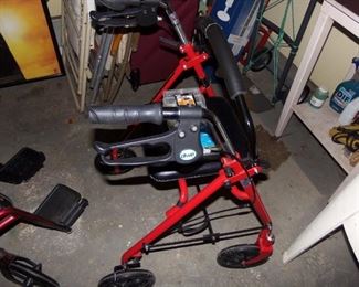 One of Several Walkers