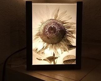 art lighting