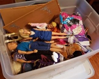 Barbie Doll Collection
