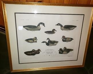 Limited edition print of Cobb Island decoys, Thelma Peterson.