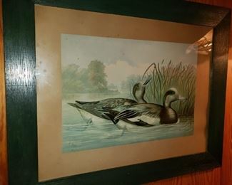 A. Pope Jr signed framed art Ducks