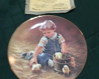 Collector Plates 