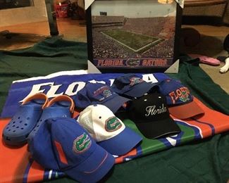 Florida game day apparel 